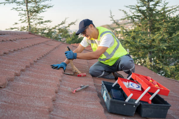 Best Roof Gutter Cleaning  in Rodney Village, DE
